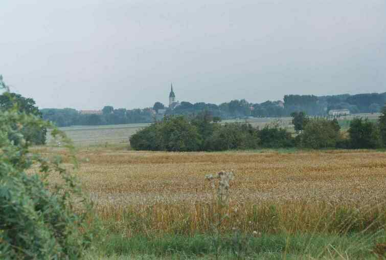 Winfried Voitus (Ditfurt)